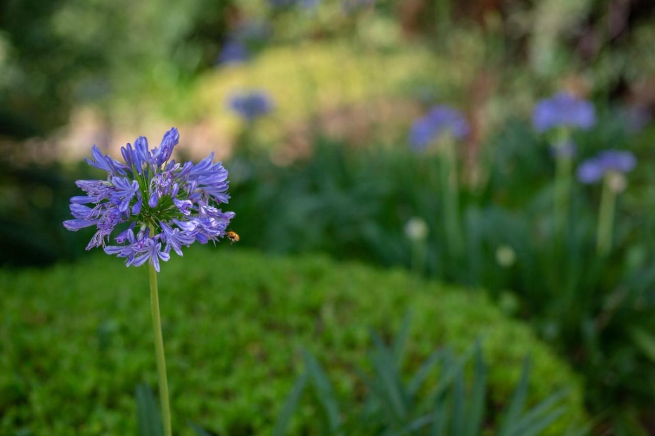 Alexandra - Luxury Jardins D'arlias By Sweett *